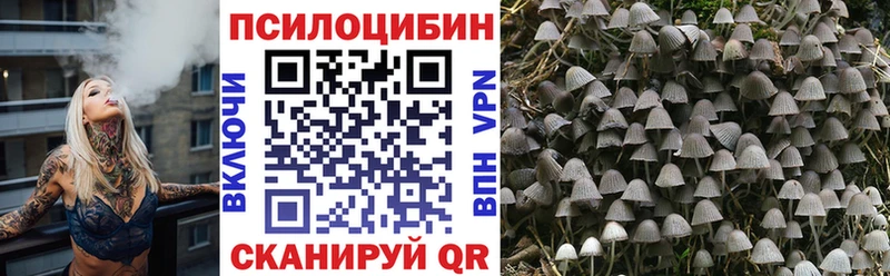 наркота  Троицк  Псилоцибиновые грибы Magic Shrooms 