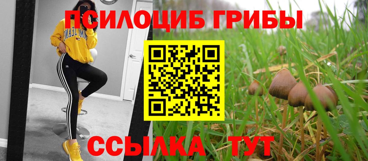 Троицк  как найти наркотики  Вход с VPN  Псилоцибиновые грибы мухоморы  Псилоцибиновые грибы ЛСД 